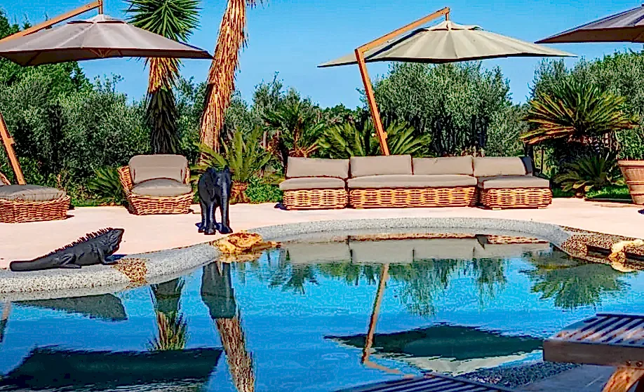 A-luxury-pool-deserves-a-luxury-setting