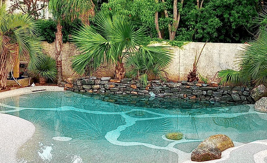 What is a Biodesign Pool- What-is-a-Biodesign-Pool_