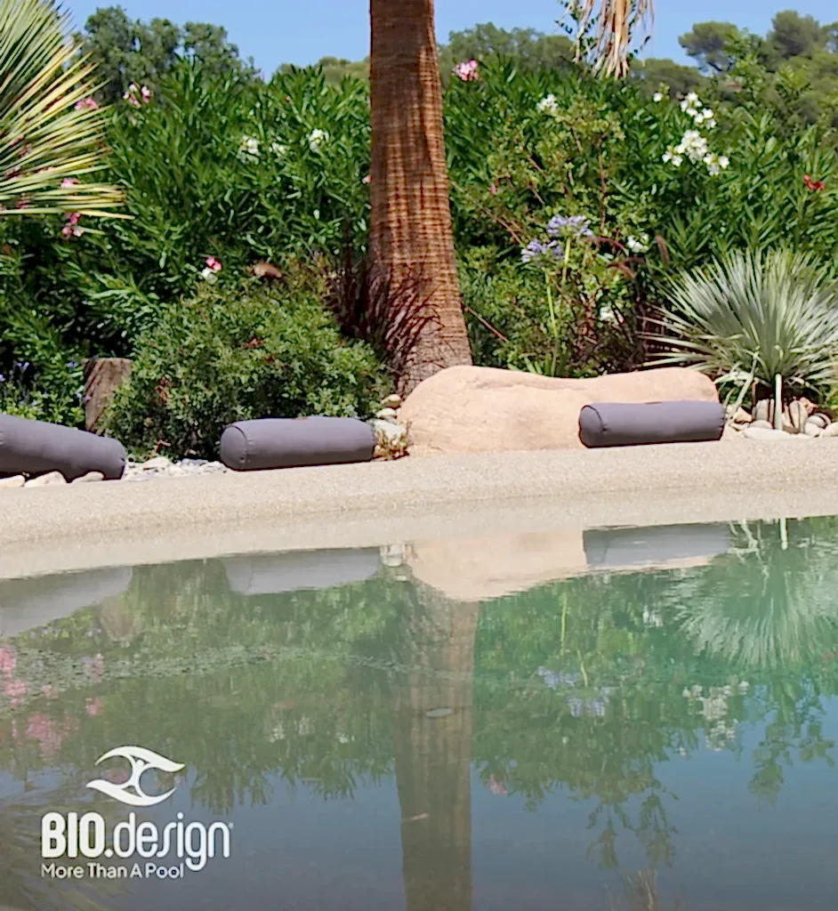 Biodesign Pool Builder Gallery