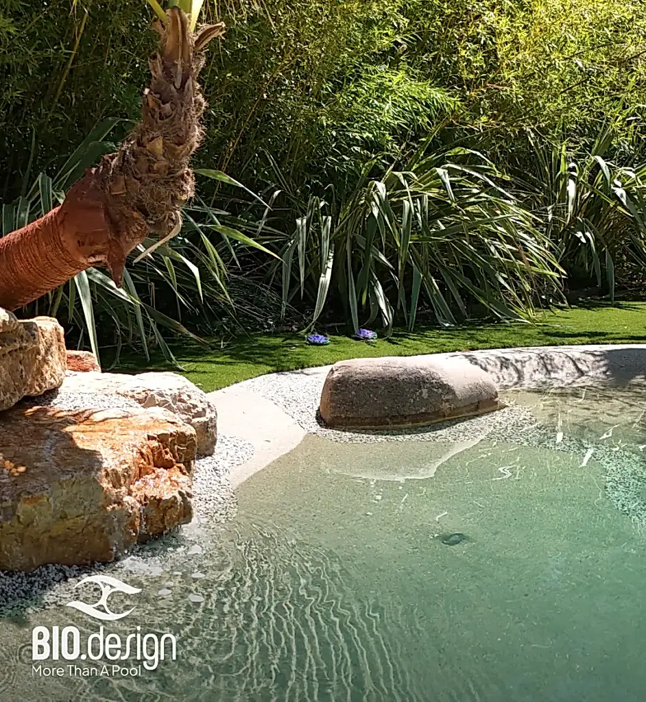 Biodesign Pool Builder Gallery
